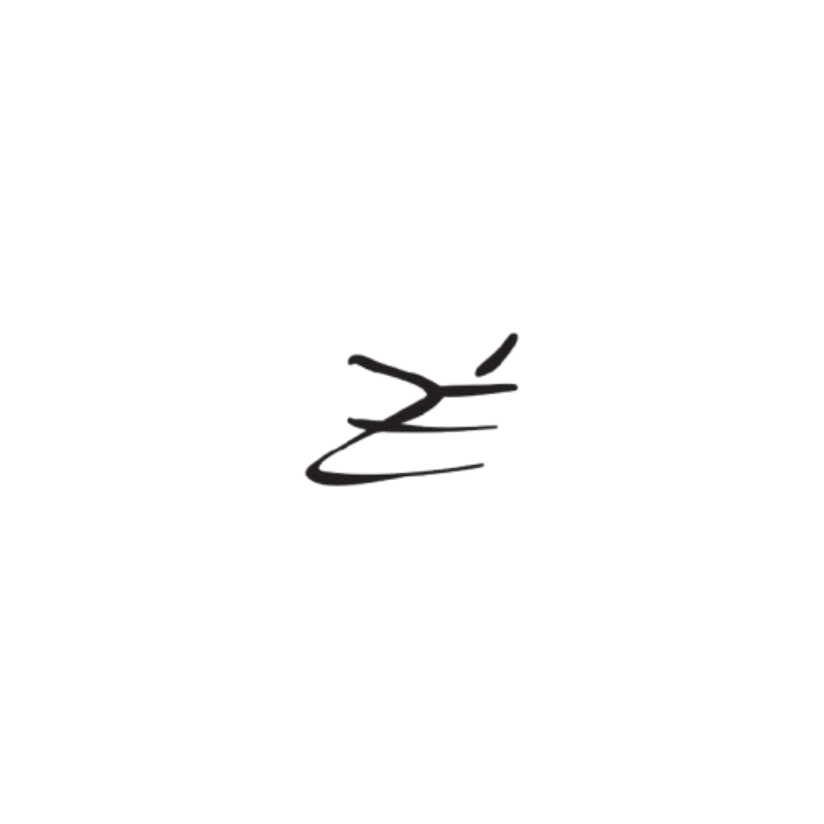 Zaraeendless